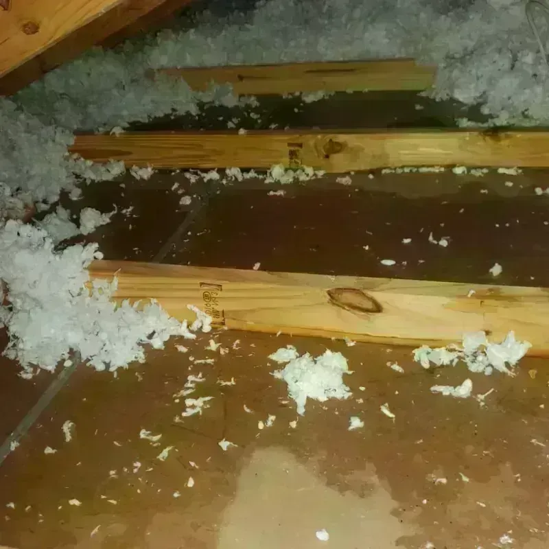 Attic Water Damage in Colonial Beach, VA